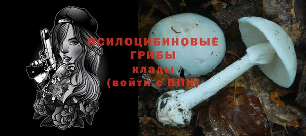 прущие крисы Волоколамск